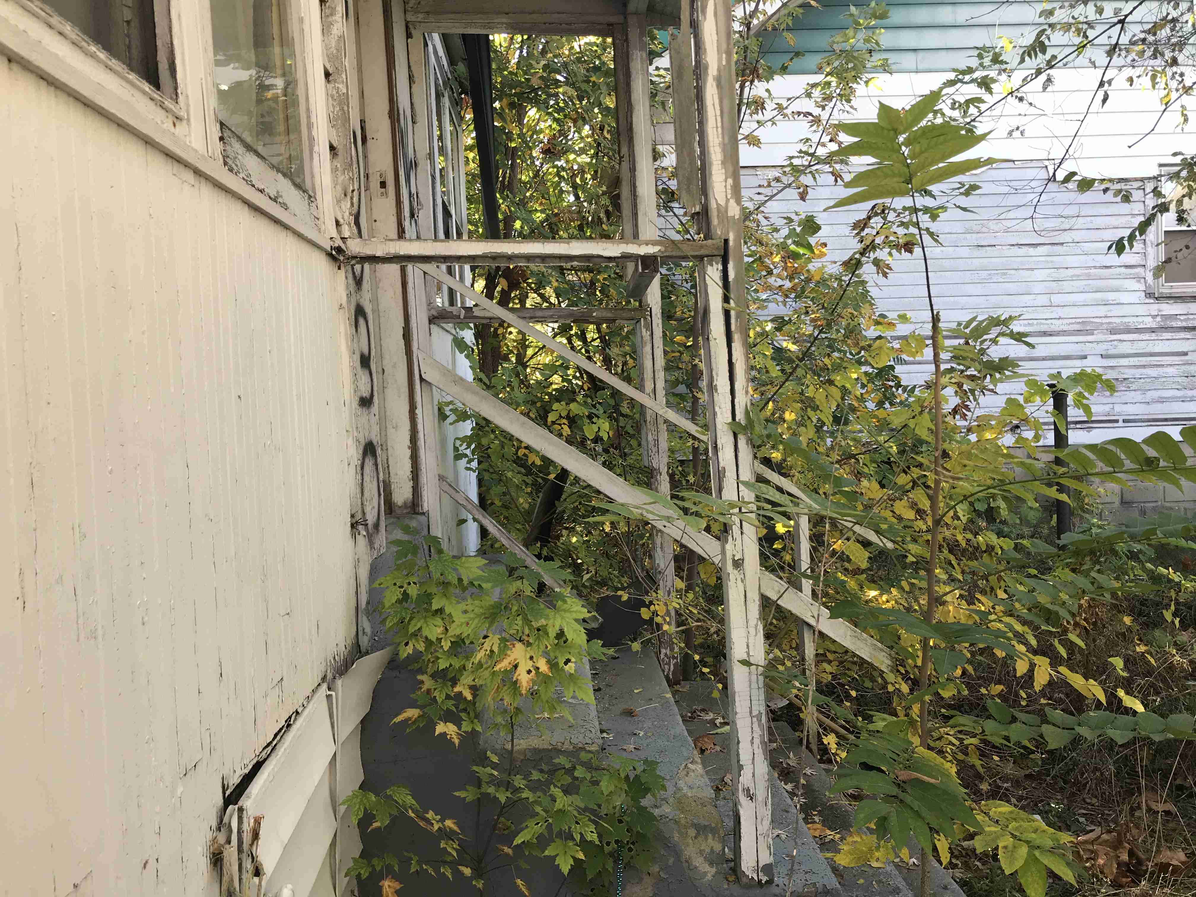 Photo Oct 13, 11 38 42 AM.jpg